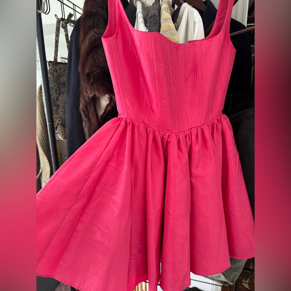 Silvia Astore Mini Dress - Picture 5 of 10